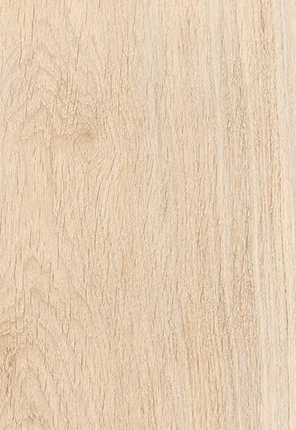 piastrelle in gres porcellanato effetto legno