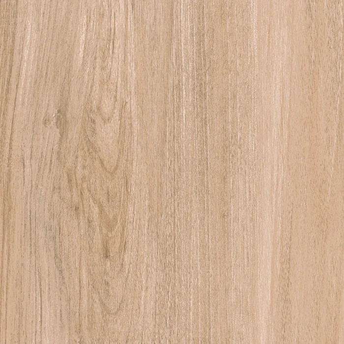 piastrelle in gres porcellanato effetto legno
