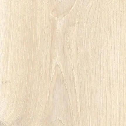 Piastrella in gres porcellanato effetto legno 4ever steam