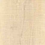 Piastrella in gres porcellanato effetto legno